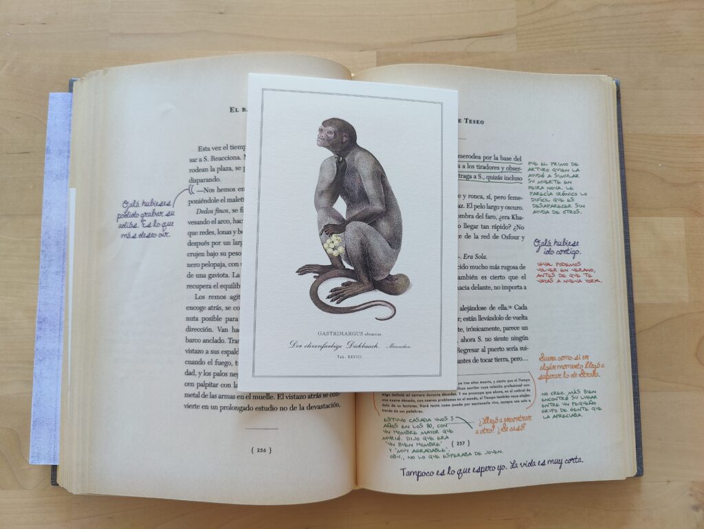 El Barco de Teseo: Inserto 256 -257