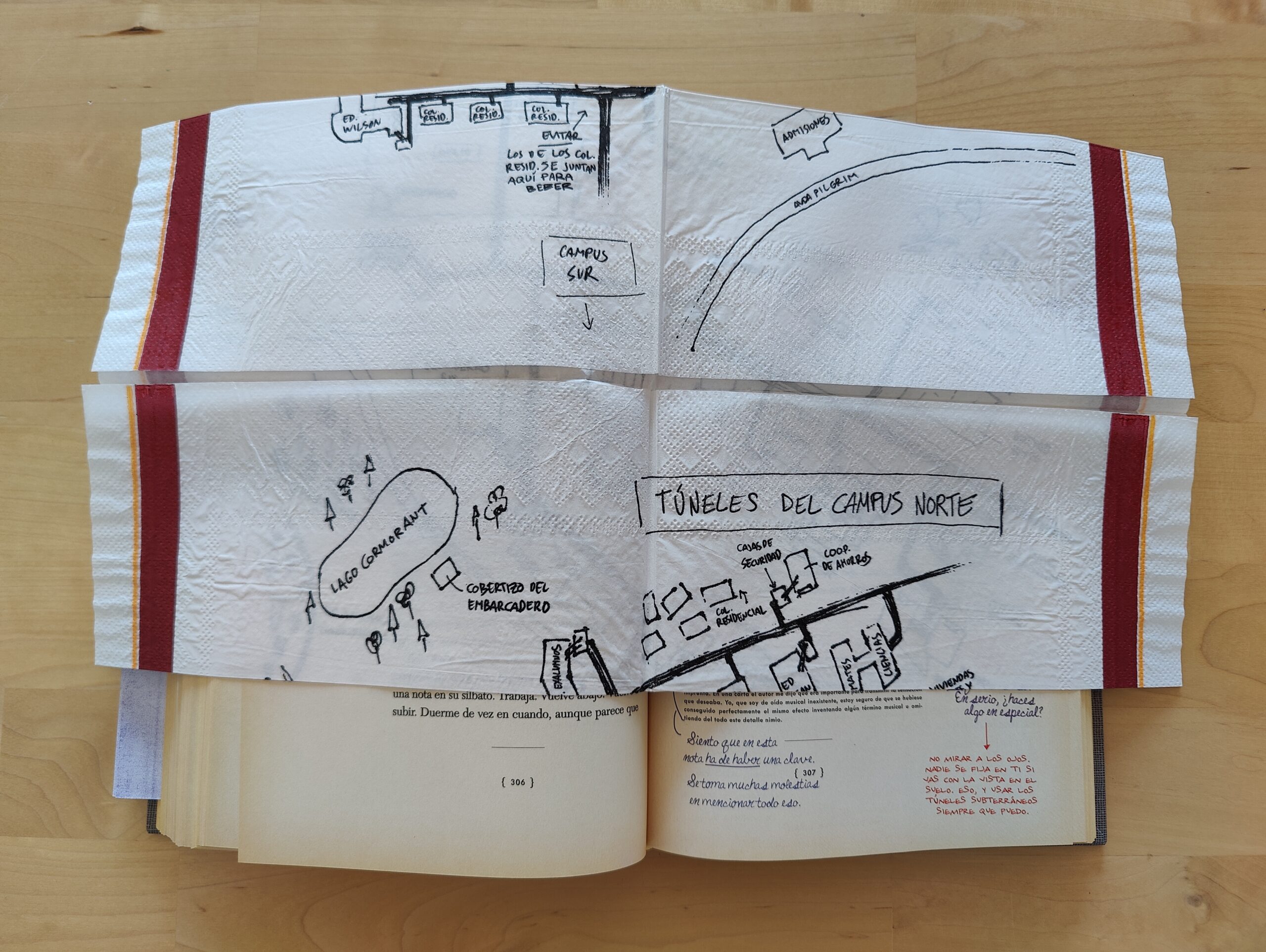 El Barco de Teseo: Inserto 306 - 307